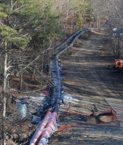 1609wwft6 Xylem Piping Thru Woods 2 Cropped Lr 450pxh 1609wwft6 Xylem Piping Thru Woods 2 Cropped Lr 450pxh
