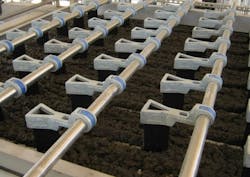 Content Dam Ww Online Articles 2016 09 160 1253 322 P Img 4 768x543 Content Dam Ww Online Articles 2016 09 160 1253 322 P Img 4 768x543