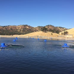 Content Dam Ww Online Articles 2016 09 Blue Frog1 Content Dam Ww Online Articles 2016 09 Blue Frog1