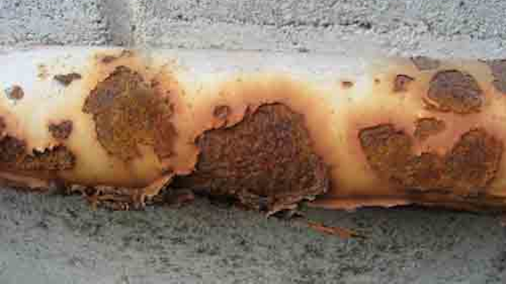 Content Dam Ww Online Articles 2016 09 Corrosion Under Paint 01