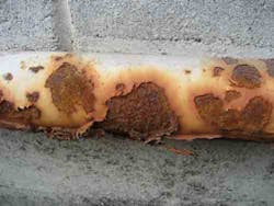 Content Dam Ww Online Articles 2016 09 Corrosion Under Paint 01 Content Dam Ww Online Articles 2016 09 Corrosion Under Paint 01