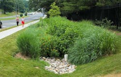 Photo: DC Water. Photo: DC Water.