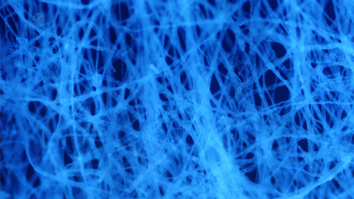 Content Dam Ww Online Articles 2016 09 Paperautofluorescence