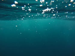 Content Dam Ww Online Articles 2016 09 Pexels Photo 108055 Content Dam Ww Online Articles 2016 09 Pexels Photo 108055
