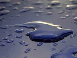 Content Dam Ww Online Articles 2016 09 Water Rain Dropplets Content Dam Ww Online Articles 2016 09 Water Rain Dropplets