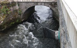 Content Dam Ww Print Articles 2016 09 1609wwsp3 Red P01 Tf1 On River Suir Content Dam Ww Print Articles 2016 09 1609wwsp3 Red P01 Tf1 On River Suir