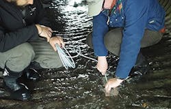 Sw1609 211 Sw1609 211