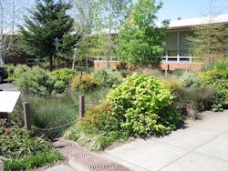 Content Dam Ww Online Articles 2016 10 Bioretention System Or Rain Garden In Portland Us Content Dam Ww Online Articles 2016 10 Bioretention System Or Rain Garden In Portland Us