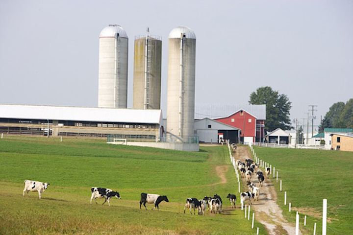 Content Dam Ww Online Articles 2016 10 Dairy Farm 927579 640