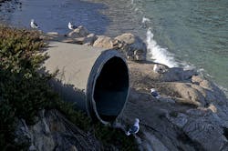 Content Dam Ww Online Articles 2016 10 Seagulls And The Water Pipe Content Dam Ww Online Articles 2016 10 Seagulls And The Water Pipe