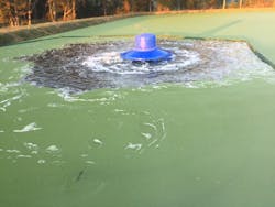 Content Dam Ww Online Articles 2016 10 Bluefrog4 Content Dam Ww Online Articles 2016 10 Bluefrog4