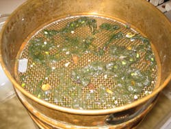 Content Dam Wwi Volume 31 Issue 6 Surface Water Microplastic Sample Undigested 2 Content Dam Wwi Volume 31 Issue 6 Surface Water Microplastic Sample Undigested 2