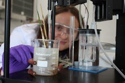 Researchlab Edit Into Q3 Answer Researchlab Edit Into Q3 Answer