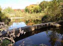 Content Dam Ww Online Articles 2017 01 13742826755 20703a25c5 M Content Dam Ww Online Articles 2017 01 13742826755 20703a25c5 M