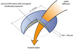 Figure 1a Lentikats Biocatalyst Scheme Figure 1a Lentikats Biocatalyst Scheme