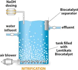 Figure 1b Lentikats Nitrification Tank Scheme Figure 1b Lentikats Nitrification Tank Scheme