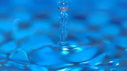 Content Dam Ww Online Articles 2017 01 Pexels Photo 197649