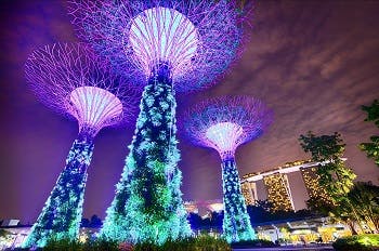 Content Dam Ww Online Articles 2017 02 Singapore