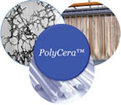 Content Dam Ww Print Articles 2017 02 1702wwshw P03 Polycera Sml Content Dam Ww Print Articles 2017 02 1702wwshw P03 Polycera Sml