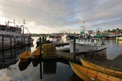 Photo: Veolia. Photo: Veolia.