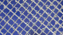 Content Dam Ww Print Articles 2017 03 1703wwps2 P04