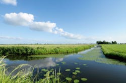 Content Dam Wwi Volume 32 Issue 2 Products Freudenberg Odor Content Dam Wwi Volume 32 Issue 2 Products Freudenberg Odor