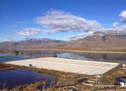 Screenshot 1988 Screenshot 1988