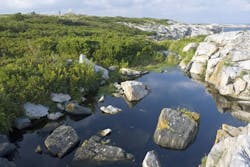 Content Dam Ww Online Articles 2017 03 Pool Content Dam Ww Online Articles 2017 03 Pool