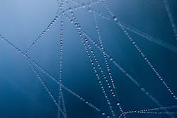 Content Dam Ww Online Articles 2017 04 Pexels Photo 276223 Content Dam Ww Online Articles 2017 04 Pexels Photo 276223