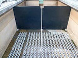 Content Dam Ww Print Articles 2017 04 1704wwshw P01 Content Dam Ww Print Articles 2017 04 1704wwshw P01