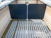 Content Dam Ww Print Articles 2017 04 1704wwshw P01 Content Dam Ww Print Articles 2017 04 1704wwshw P01