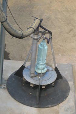 1705wwft2 P02 Sam Photo 1705wwft2 P02 Sam Photo