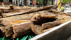 Photo: Philadelphia Water Department. Photo: Philadelphia Water Department.