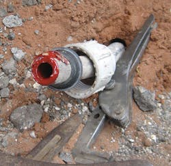 1706wwft1 S03 1706wwft1 S03