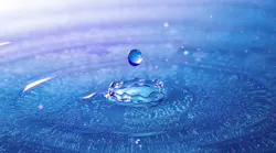 Content Dam Ww Online Articles 2017 06 Drip 2325681 640