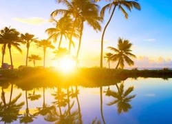 Content Dam Ww Online Articles 2017 06 Hero desktop Content Dam Ww Online Articles 2017 06 Hero desktop