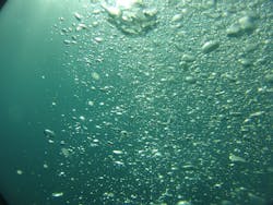 Content Dam Ww Online Articles 2017 06 Maxpixel freegreatpicture com Air Blue Diving Blow Air Bubbles Oxygen Water 930398 Content Dam Ww Online Articles 2017 06 Maxpixel freegreatpicture com Air Blue Diving Blow Air Bubbles Oxygen Water 930398