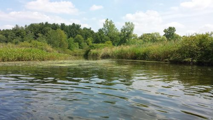 Content Dam Ww Online Articles 2017 06 River Water
