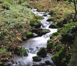 Content Dam Ww Online Articles 2017 06 Stream 2 Content Dam Ww Online Articles 2017 06 Stream 2