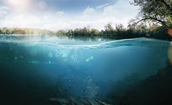 Sw1706 10 Sw1706 10