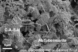 2 Jackson B Sinus Cementing Matrix Copy 1024x681 2 Jackson B Sinus Cementing Matrix Copy 1024x681