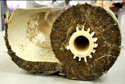 Content Dam Ww Online Articles 2017 07 Biofouling Content Dam Ww Online Articles 2017 07 Biofouling