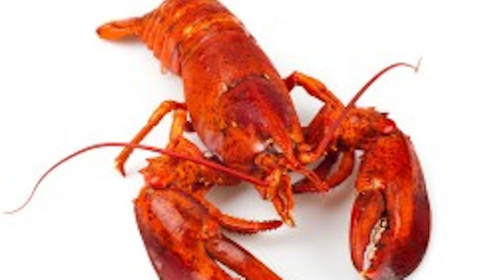 Content Dam Ww Online Articles 2017 07 Crostacei