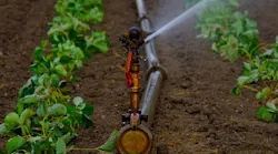 Content Dam Ww Online Articles 2017 07 Farming Irrigation