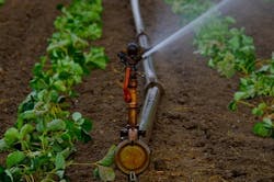 Content Dam Ww Online Articles 2017 07 Farming Irrigation Content Dam Ww Online Articles 2017 07 Farming Irrigation