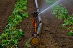 Content Dam Ww Online Articles 2017 07 Farming Irrigation Content Dam Ww Online Articles 2017 07 Farming Irrigation