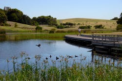 Sydney Park Sydney Park