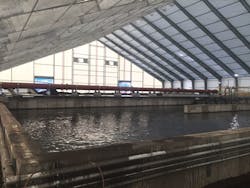 1708wwfoc P02 1708wwfoc P02