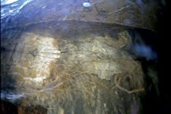 We1307 42 B We1307 42 B