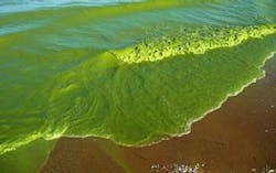 Content Dam Ww Online Articles 2017 08 146877 Web Content Dam Ww Online Articles 2017 08 146877 Web